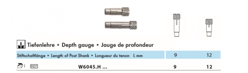 Fiber Post 11
