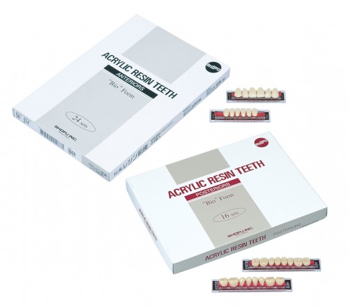 Acrylic Resin Teeth