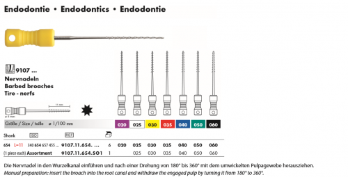 9107 Endodontics